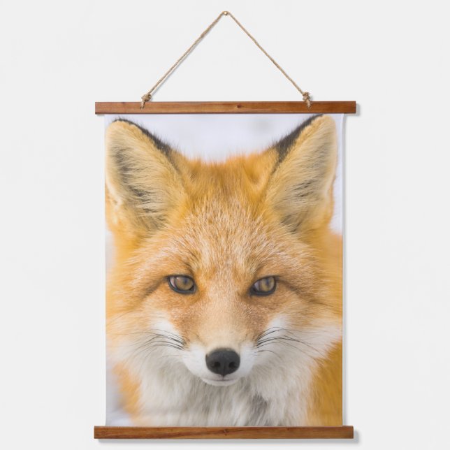 Tapisserie Suspendue Red Fox Portrait (Recto)