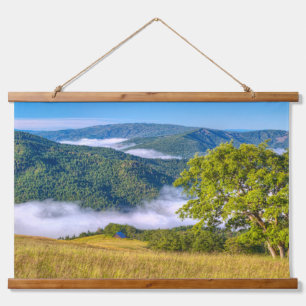 Tapisserie Suspendue Redwood National Park, Californie