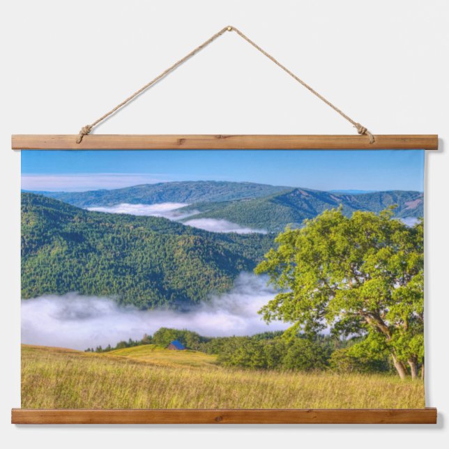 Tapisserie Suspendue Redwood National Park, Californie (Devant)