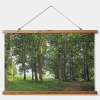 Scène De Bois. Blackweir Woods, Cardiff