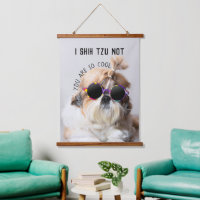 Shih Tzu Pas amusant mignon amoureux de les chiens