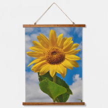 Simple Tournesol Floral mignonne Photographie bota