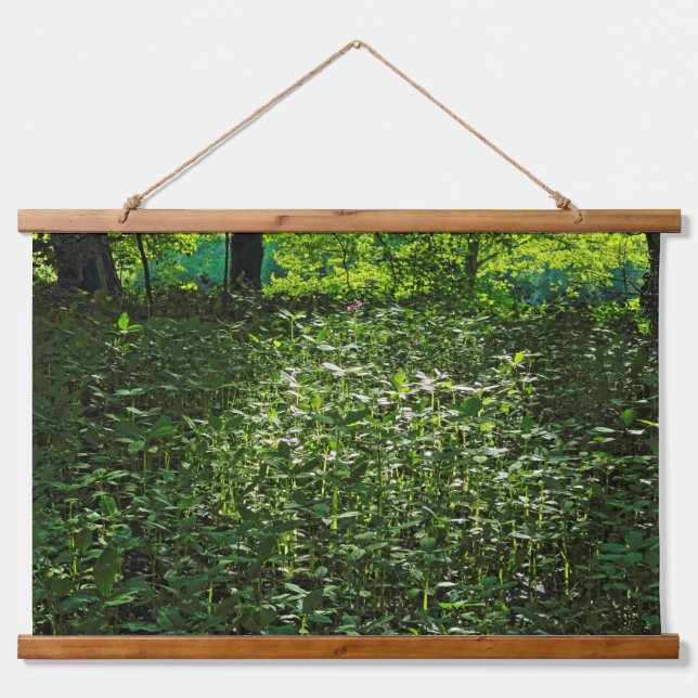 Tapisserie Suspendue Sous-bois éclairé. Blackweir Woods, Cardiff (Devant)