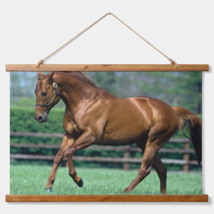 Tapisserie Suspendue Thoroughbred Stallion, Irlande