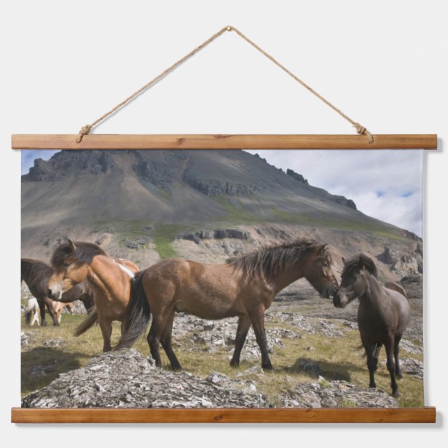 Tapisserie Suspendue Troupeau De Chevaux, Près De Hofn, Islande (Devant)