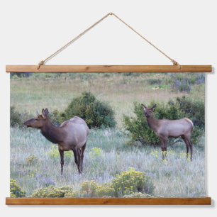 Tapisserie Suspendue Wapiti d'Amérique Colorado