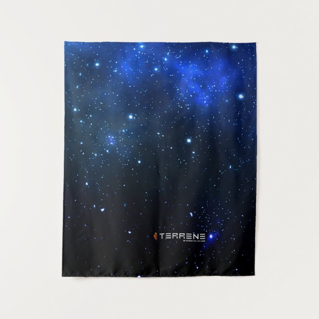 Tapisserie TERRENE (Devant)