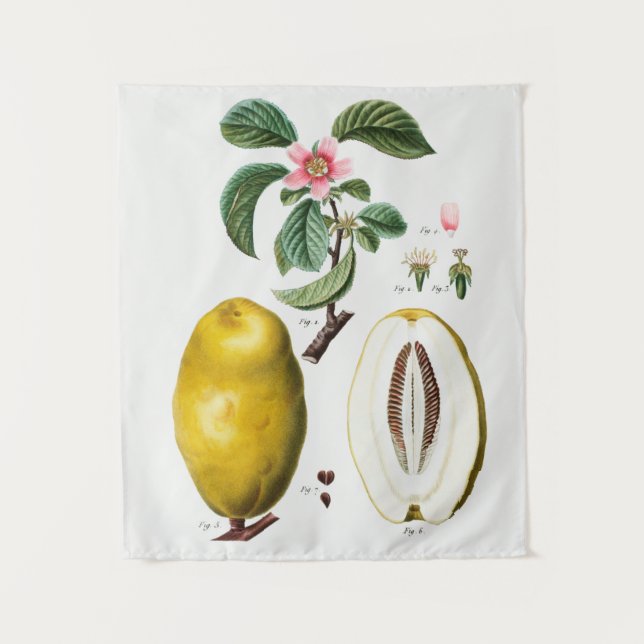 Tapisserie vintage (Devant)