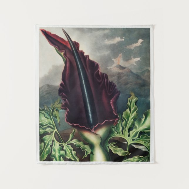 Tapisserie vintage (Devant)