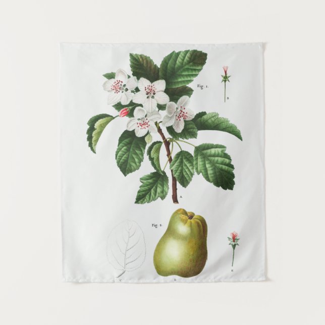 Tapisserie vintage (Devant)