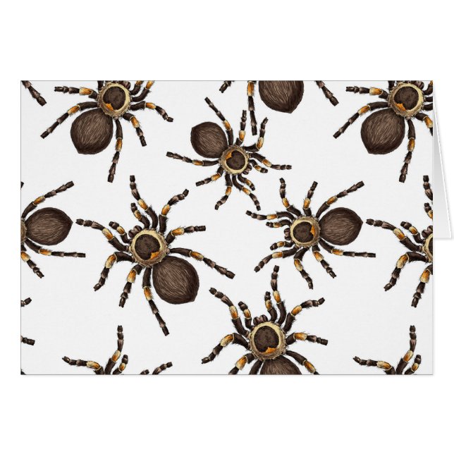 Tarantula sur blanc (Devant horizontal)