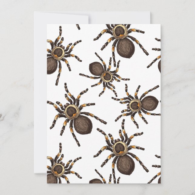 Tarantula sur blanc (Devant)