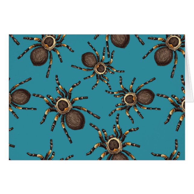 Tarantula sur bleu (Devant horizontal)