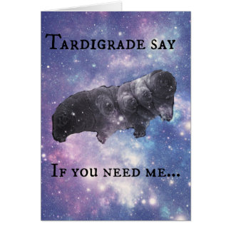 Tardigrade dites - en jugeant
