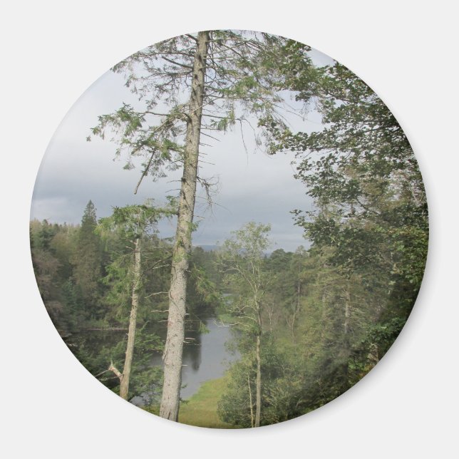Tarn Hows Arbres Magnet (Devant)