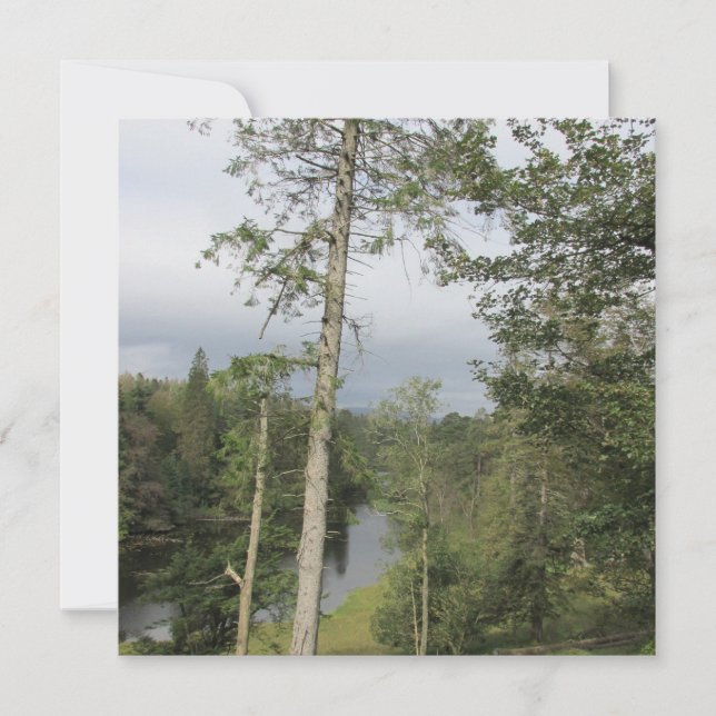 Tarn Hows Trees Carte de voeux plate (Devant)