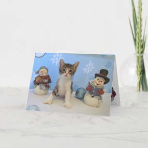 Taromina et les Snowmen - Carte de Noël Chat