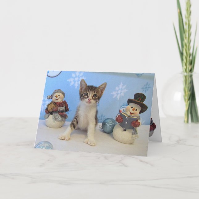 Taromina et les Snowmen - Carte de Noël Chat (Devant)