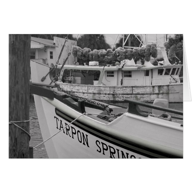 Tarpon (Devant horizontal)