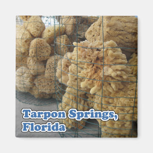 Tarpon Springs Éponges Magnet