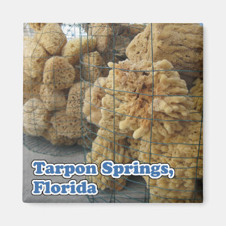 Tarpon Springs Éponges Magnet