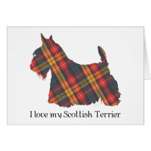 Tartan Buchanan du Terrier Écossais