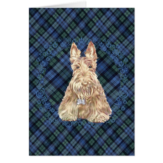 Tartan Scottie (Devant)