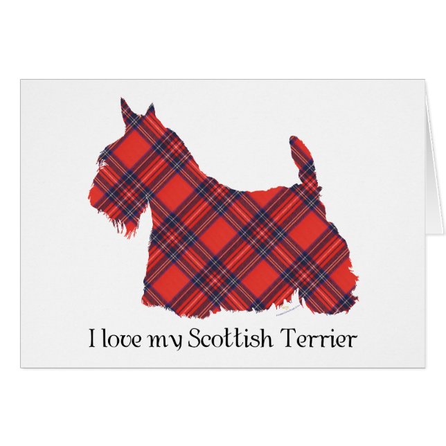 Tartan Stewart du Terrier Écossais (Devant horizontal)