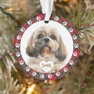 Tartan Stewart Photo de Noël pour animaux à carrea