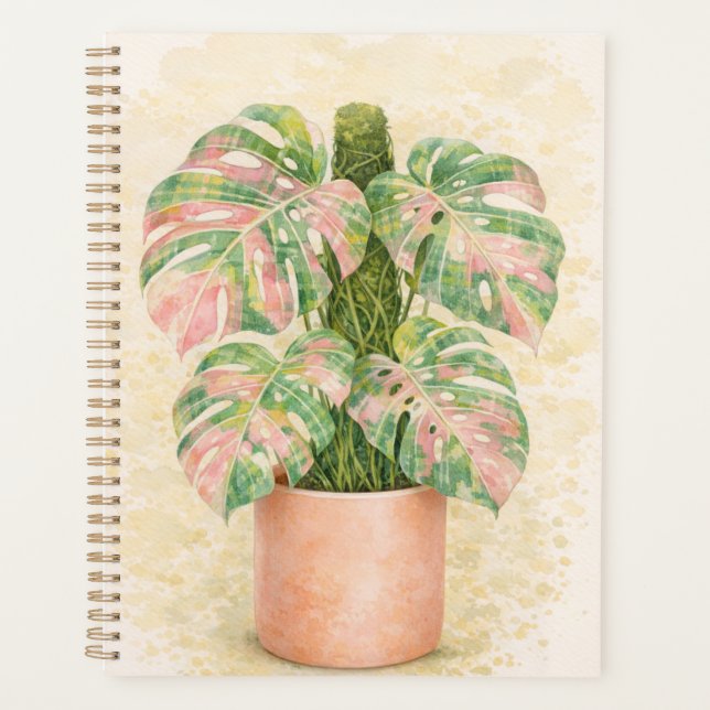 tartare rose feuille de monstera écossaise Écosse (Devant)