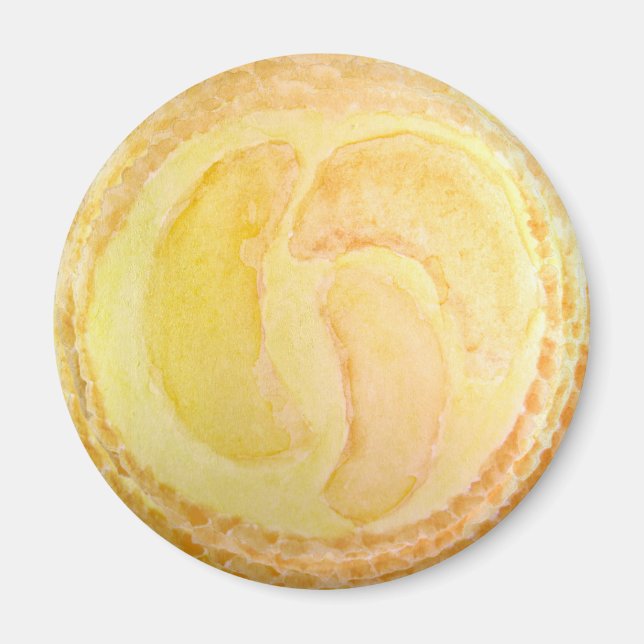 Tarte aux pêches réaliste aquarelle aimant (Devant)