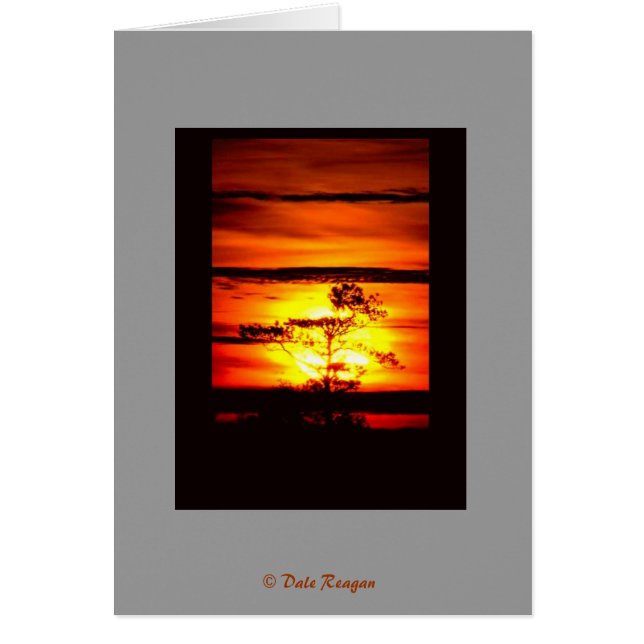 T'as de la lumière ? (Devant)