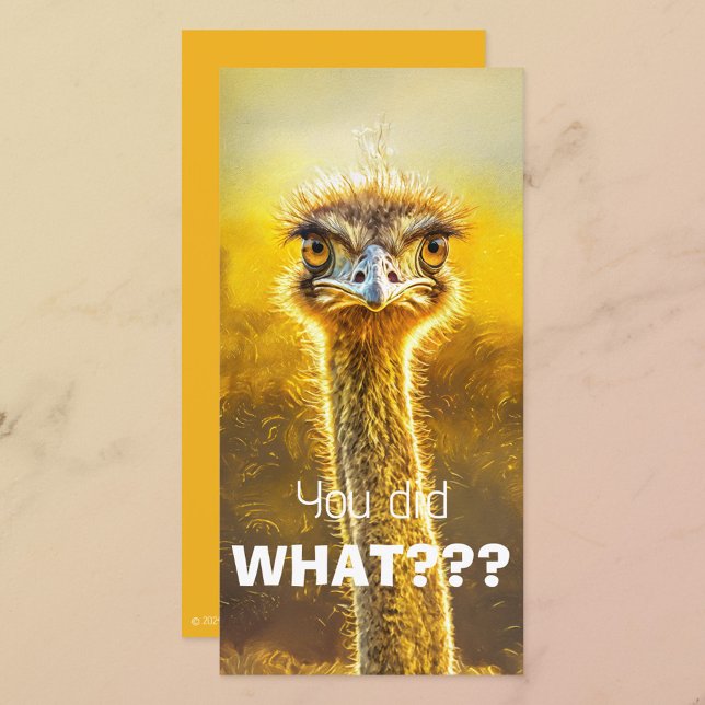 T'AS FAIT QUOI ? ? ? (Créateur téléchargé)