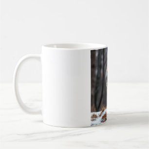 Tasse 