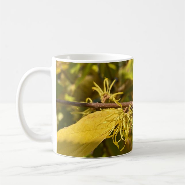 Tasse (Gauche)