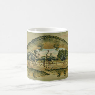Tasse 1905 de frontière d'alligator de la Floride