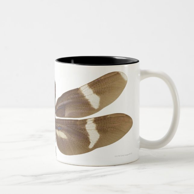 TASSE 2 COULEURS 23599152 (Droit)