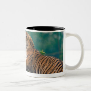 TASSE 2 COULEURS 23899157