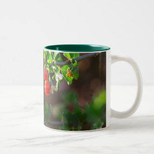 TASSE 2 COULEURS 2BERRIES