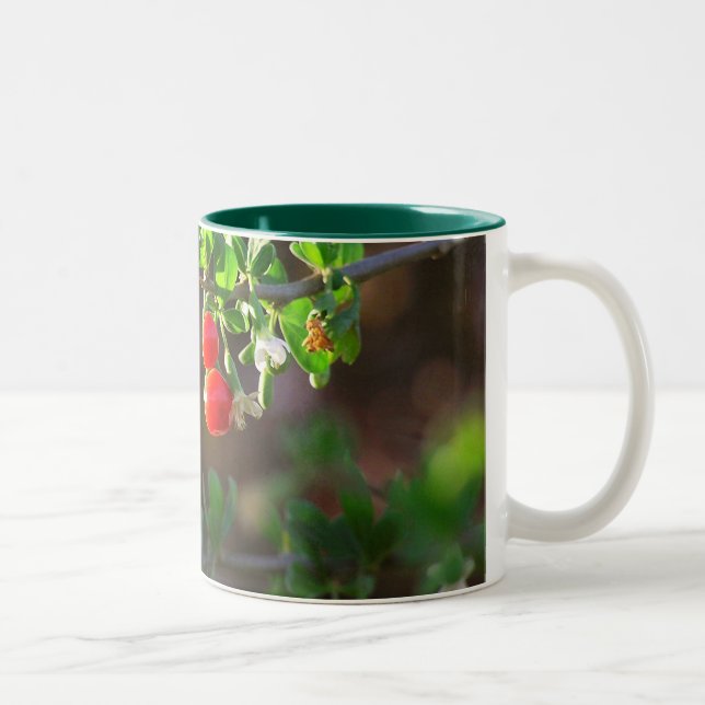 TASSE 2 COULEURS 2BERRIES (Droit)