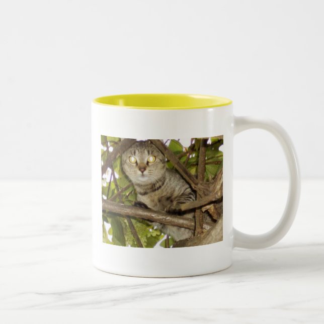 Tasse 2 Couleurs Accrochez-vous (Droit)