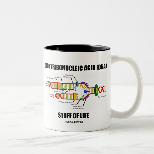 Tasse 2 Couleurs Acide Désoxyribonucléique (ADN) Stude De Vie (Droit)