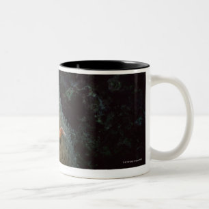 Tasse 2 Couleurs Actinie