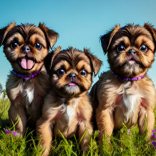 Tasse 2 Couleurs Adorable Brussels Griffon Puppies