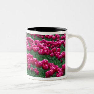 Tasse 2 Couleurs Afficher le jardin des ampoules à fleurs printani