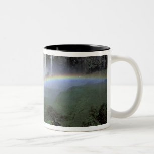 Tasse 2 Couleurs Afrique, Éthiopie, rivière Nil Bleu, Cataracte. 2