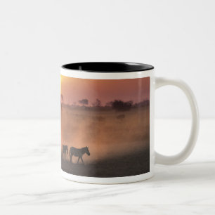 Tasse 2 Couleurs Afrique, Kenya, Amboseli NP. Zèbres marchent vers