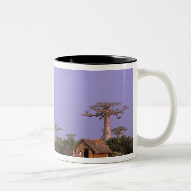Tasse 2 Couleurs Afrique, Madagascar, Morondava. Baobabs (Droit)