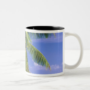 Tasse 2 Couleurs Afrique, Seychelles, île de La Digue. Granite 2