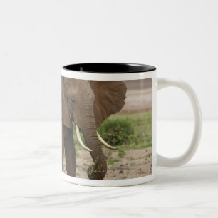 Tasse 2 Couleurs Afrique. Tanzanie. Éléphant au parc national du la